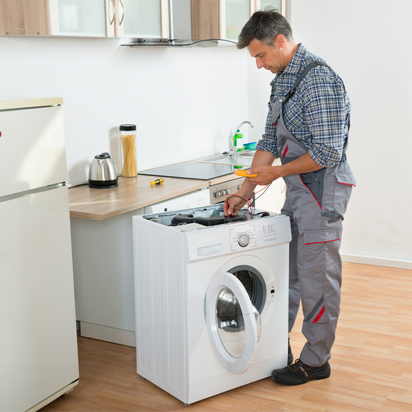 can you walk me through the steps of troubleshooting my washer issue in Ebony